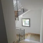Διαμέρισμα Nuovissimo Con Terrazza