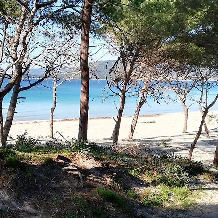 Nuovissimo Con Terrazza Διαμέρισμα *